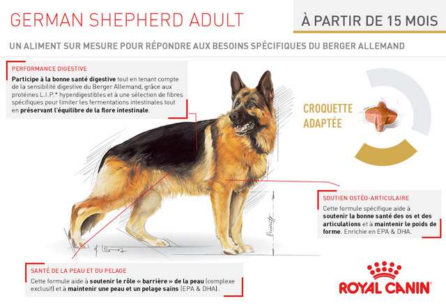 Schéma et description des croquettes Royal Canin Race Berger Allemand Adult