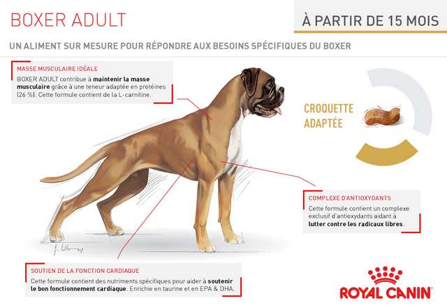 Schéma et description des croquettes Royal Canin Race Boxer Adult