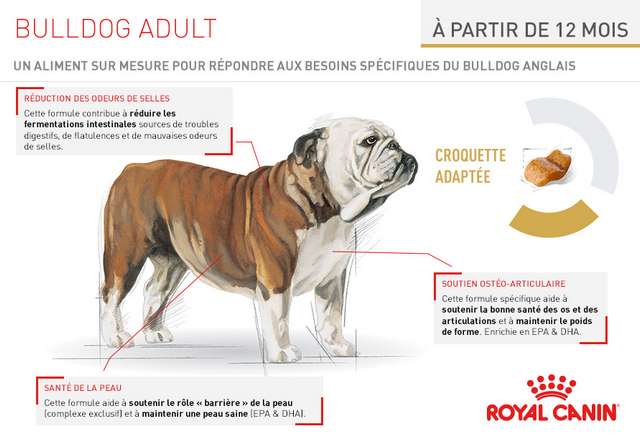Schéma et description des croquettes Royal Canin Race Bulldog Adult