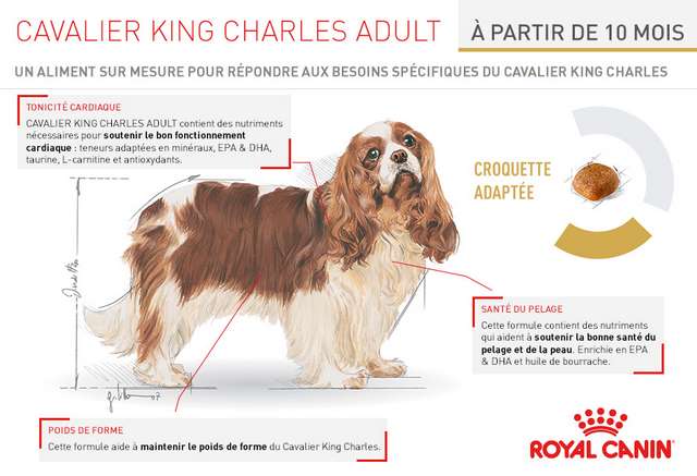 Schéma et description des croquettes Royal Canin Race Cavalier King Charles Adult