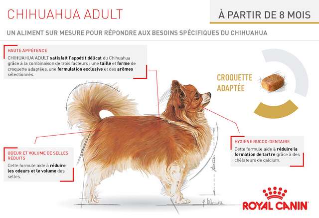 Schéma et description des croquettes Royal Canin Race Chihuahua Adult