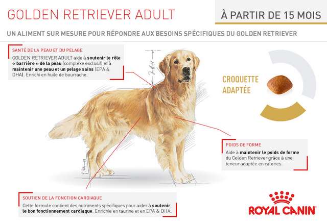 Schéma et description des croquettes Royal Canin Race Golden Retriever Adult