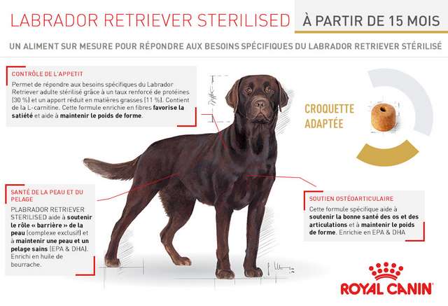 Schéma et description des croquettes Royal Canin Race Labrador Retriever Adult Sterilised