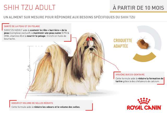 Schéma et description des croquettes Royal Canin Race Shih Tzu Adult