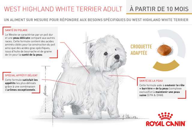 Schéma et description des croquettes Royal Canin Race West Highland Terrier Adult