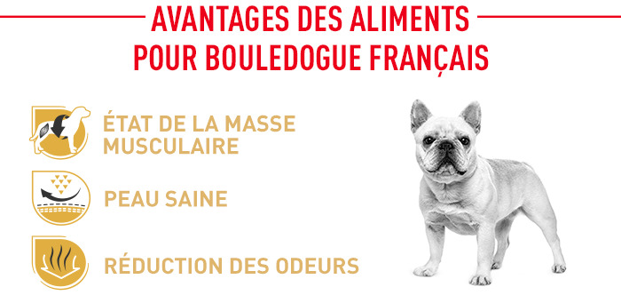 Schéma et description des croquettes Royal Canin Race Bouledogue Français Adult